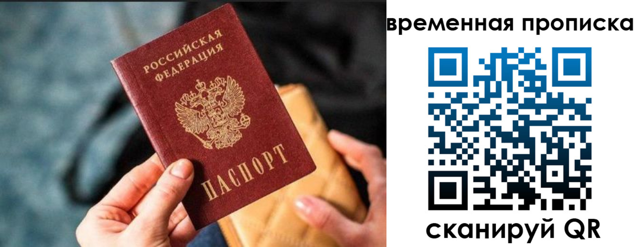 временная регистрация для школы в Шебекино