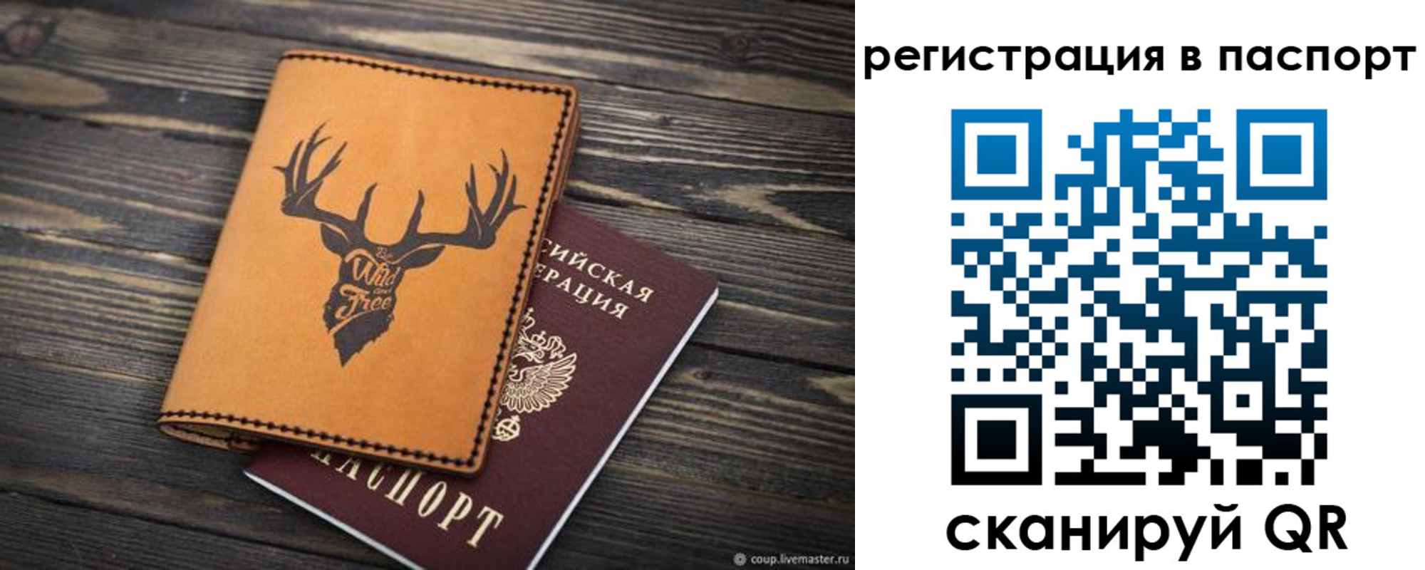 прописка паспорт в Шебекино